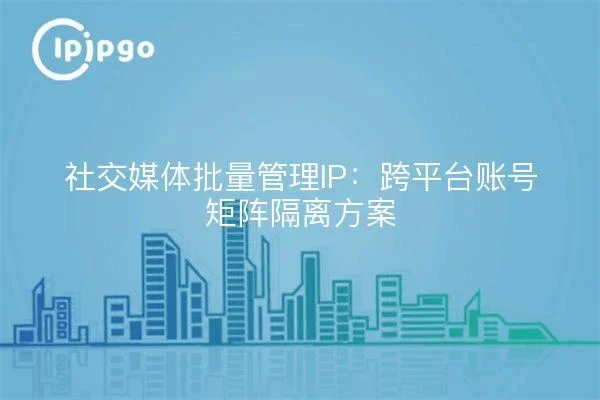 指纹浏览器browser fingerprint parameters dashboard示意图,帮助完成指纹浏览器相关操作